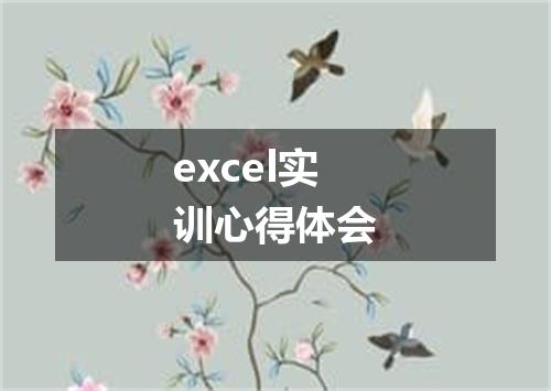 excel实训心得体会