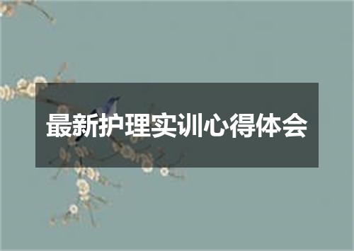 最新护理实训心得体会