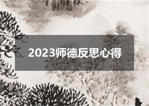 2023师德反思心得