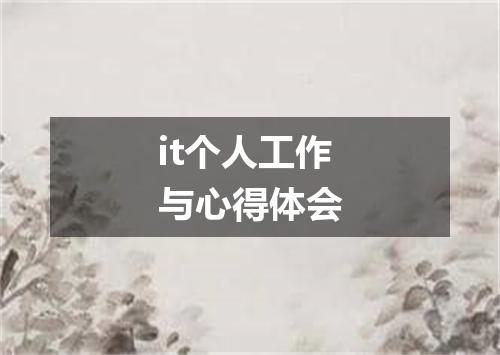 it个人工作与心得体会