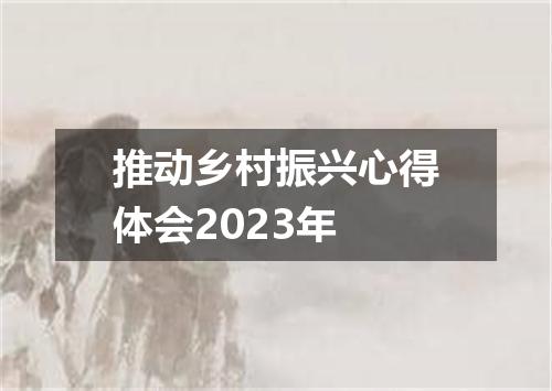 推动乡村振兴心得体会2023年