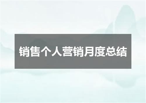 销售个人营销月度总结
