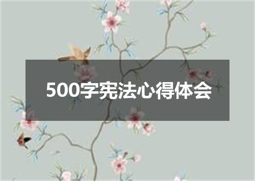 500字宪法心得体会