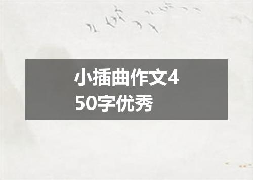 小插曲作文450字优秀
