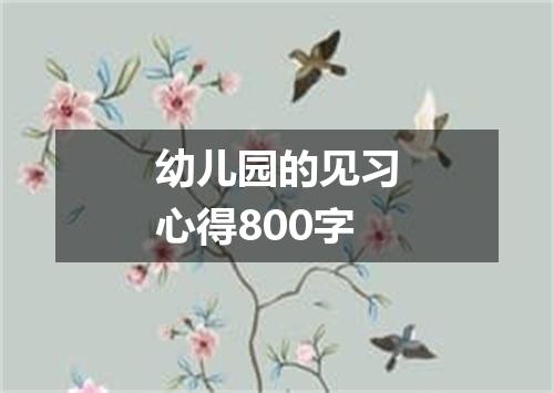 幼儿园的见习心得800字