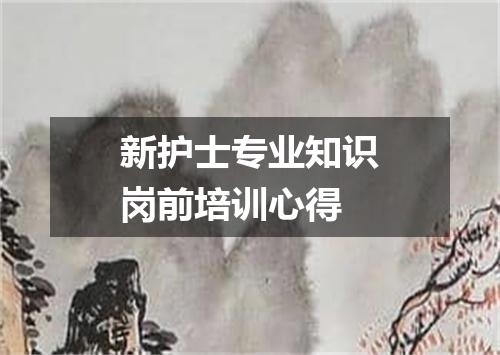 新护士专业知识岗前培训心得