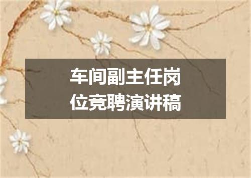 车间副主任岗位竞聘演讲稿