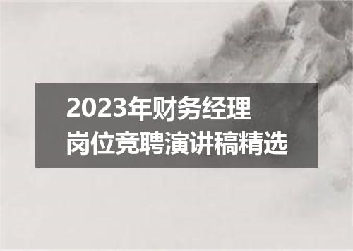 2023年财务经理岗位竞聘演讲稿精选