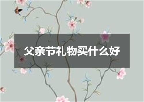 父亲节礼物买什么好