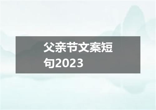 父亲节文案短句2023