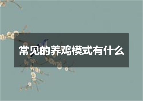 常见的养鸡模式有什么