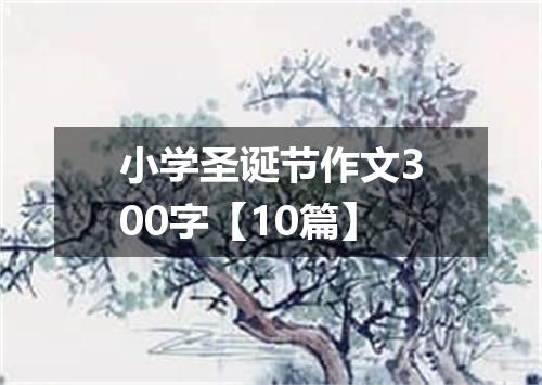 小学圣诞节作文300字【10篇】