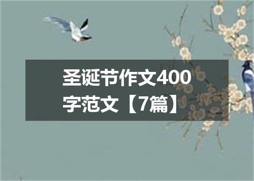 圣诞节作文400字范文【7篇】