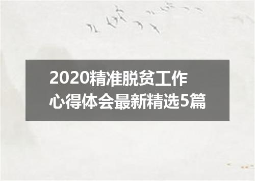 2020精准脱贫工作心得体会最新精选5篇