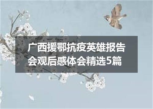 广西援鄂抗疫英雄报告会观后感体会精选5篇