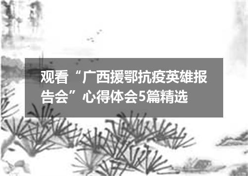 观看“广西援鄂抗疫英雄报告会”心得体会5篇精选