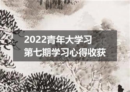 2022青年大学习第七期学习心得收获