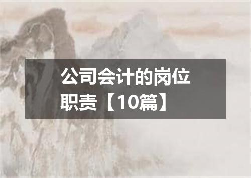 公司会计的岗位职责【10篇】