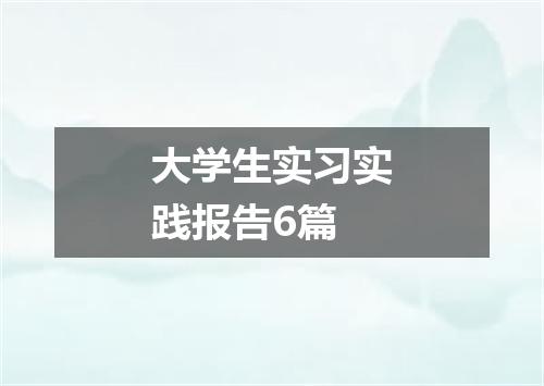 大学生实习实践报告6篇