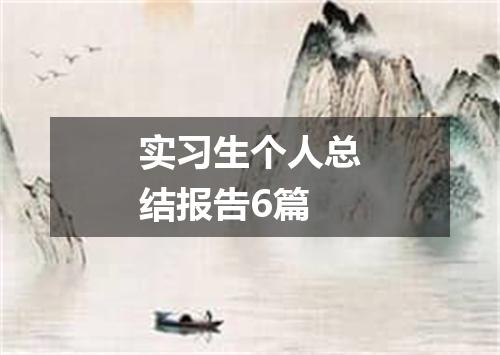 实习生个人总结报告6篇