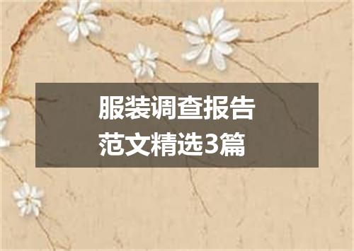 服装调查报告范文精选3篇