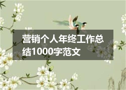 营销个人年终工作总结1000字范文
