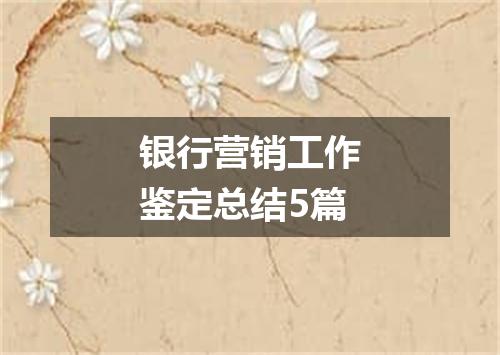 银行营销工作鉴定总结5篇