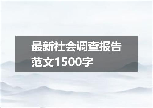 最新社会调查报告范文1500字