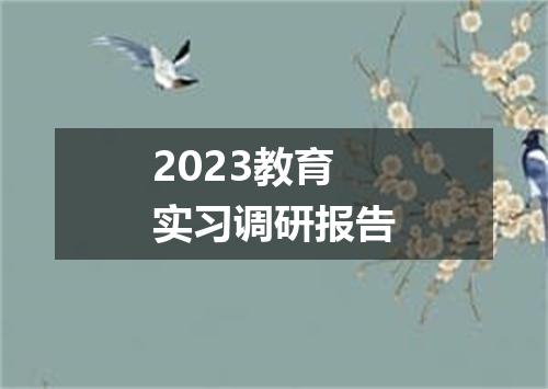 2023教育实习调研报告