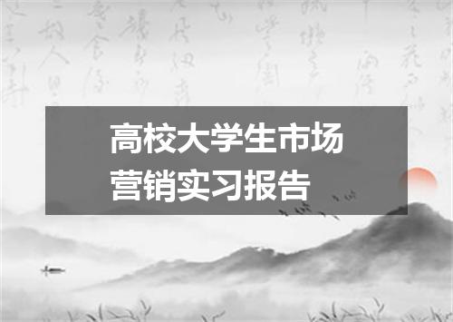 高校大学生市场营销实习报告