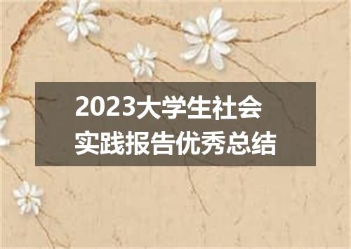2023大学生社会实践报告优秀总结