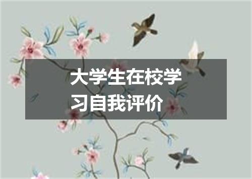 大学生在校学习自我评价