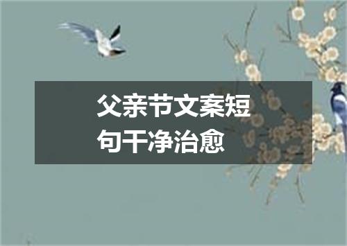 父亲节文案短句干净治愈