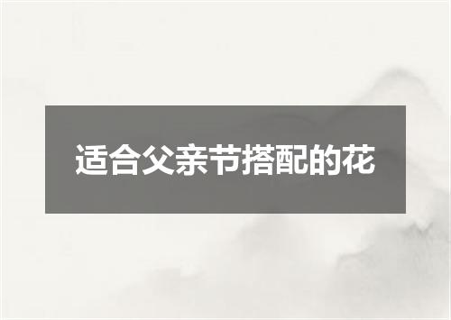 适合父亲节搭配的花