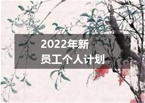 2022年新员工个人计划