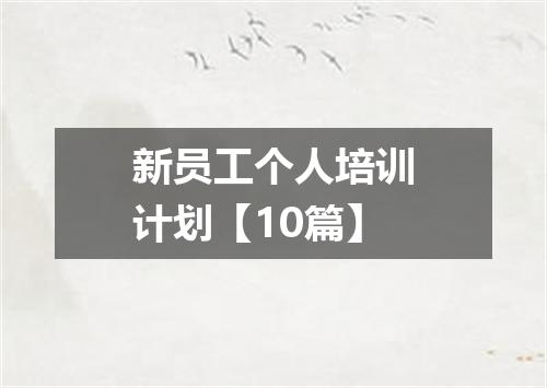 新员工个人培训计划【10篇】
