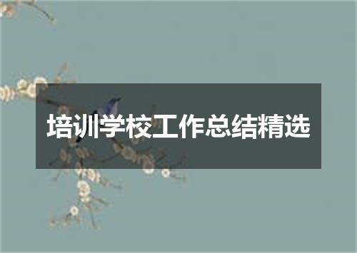 培训学校工作总结精选