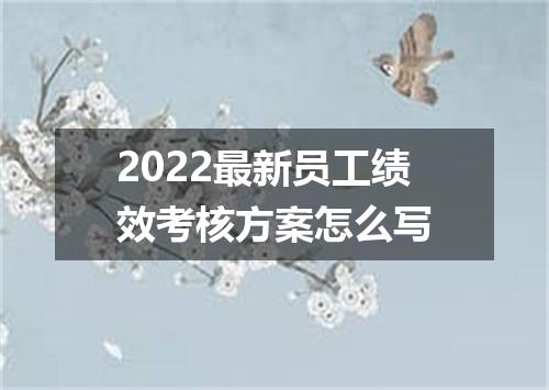 2022最新员工绩效考核方案怎么写