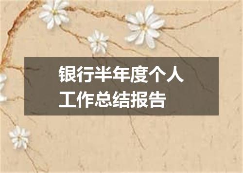 银行半年度个人工作总结报告