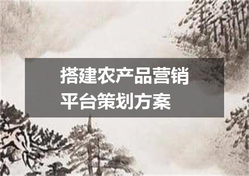 搭建农产品营销平台策划方案
