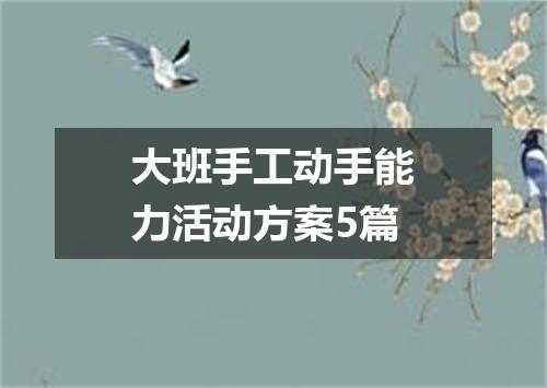 大班手工动手能力活动方案5篇