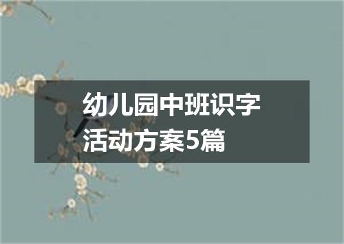 幼儿园中班识字活动方案5篇
