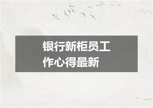 银行新柜员工作心得最新