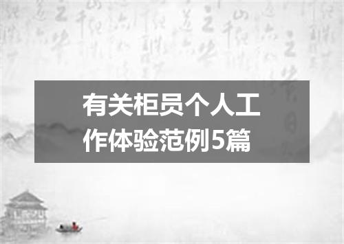 有关柜员个人工作体验范例5篇