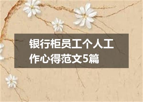 银行柜员工个人工作心得范文5篇