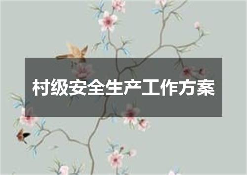 村级安全生产工作方案