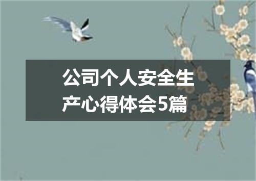公司个人安全生产心得体会5篇