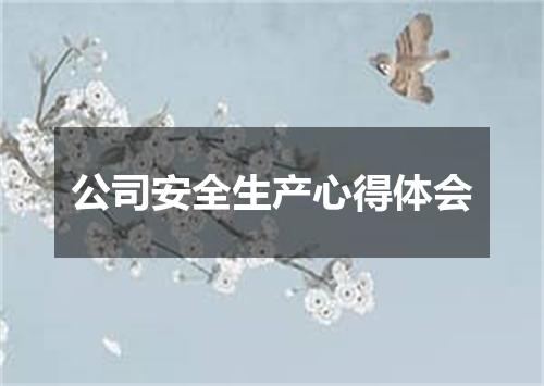 公司安全生产心得体会