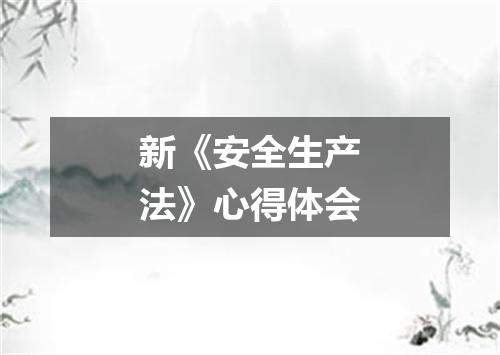 新《安全生产法》心得体会