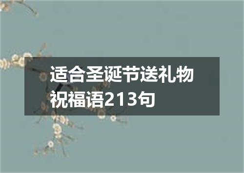 适合圣诞节送礼物祝福语213句